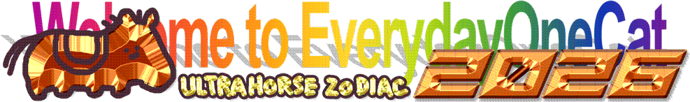 welcome to everydayonecat